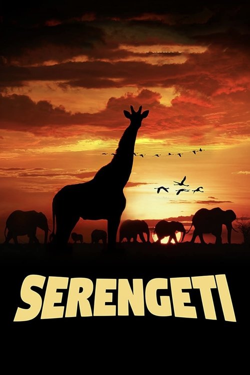 Serengeti 2022