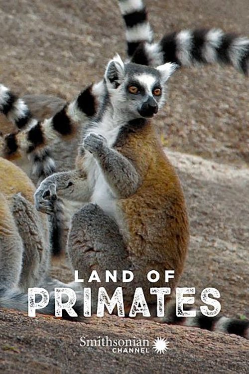 Land of Primates 2016