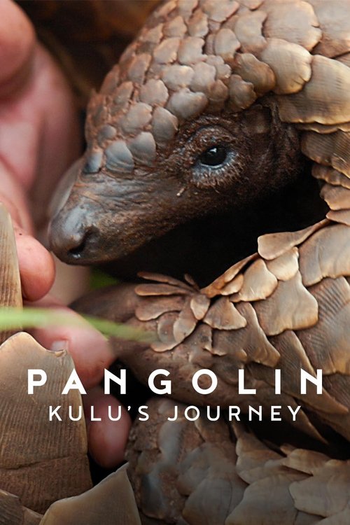 Pangolin: Kulu's Journey 2025