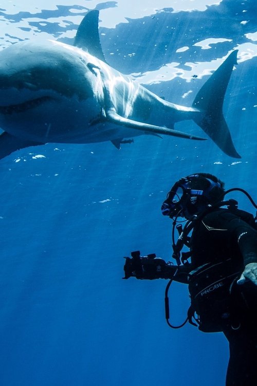 Swimming With Monsters 2013