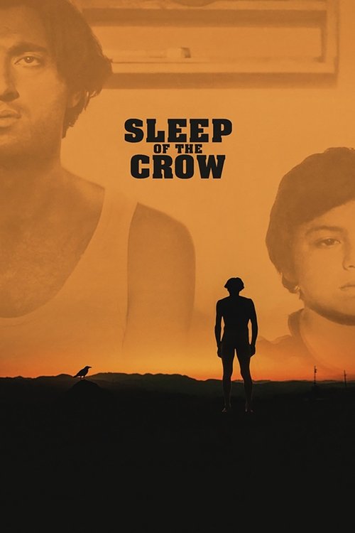 Sleep of the Crow 2024