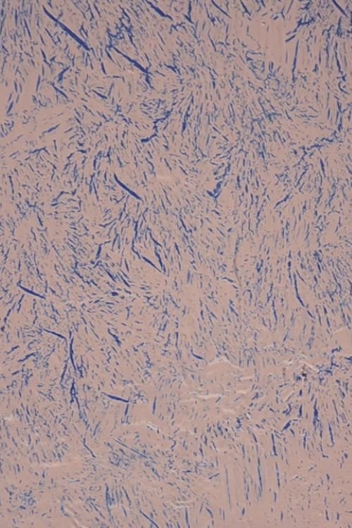 Catching Killers (2021) 2021