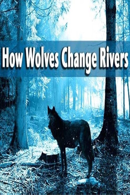 How Wolves Change Rivers 2014