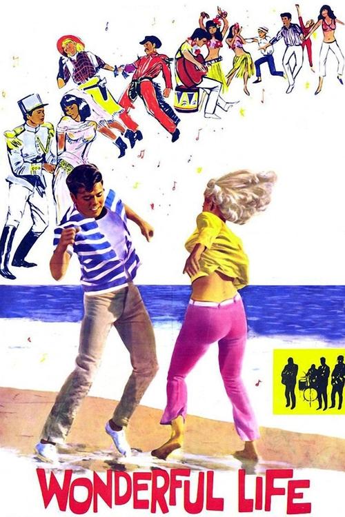 Wonderful Life 1964