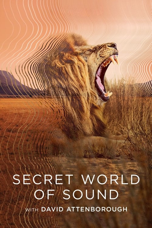 Secret World of Sound with David Attenborough    2024