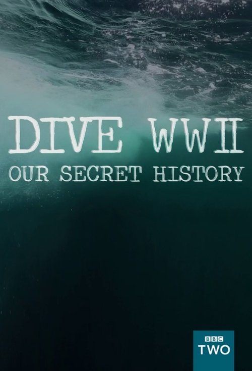 Dive WWII: Our Secret History 2013
