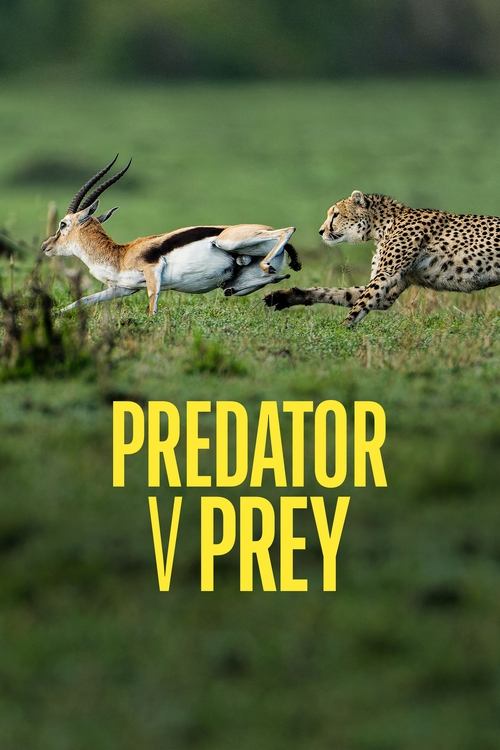 Predator v Prey 2024