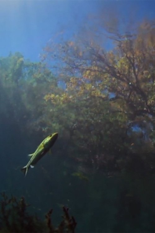 Motorway Cops USA 2023