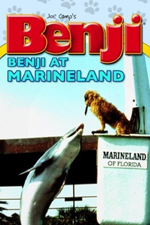 Benji at Marineland 1981