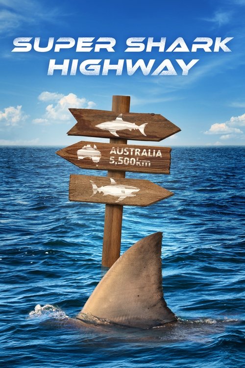Super Shark Highway 2024