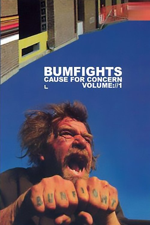 Bumfights Vol. 1: A Cause for Concern 2002