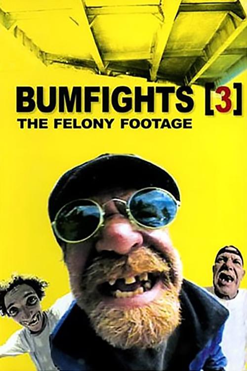 Bumfights Vol. 3: The Felony Footage 2004