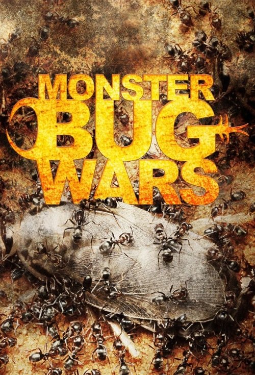 Monster Bug Wars! 2011