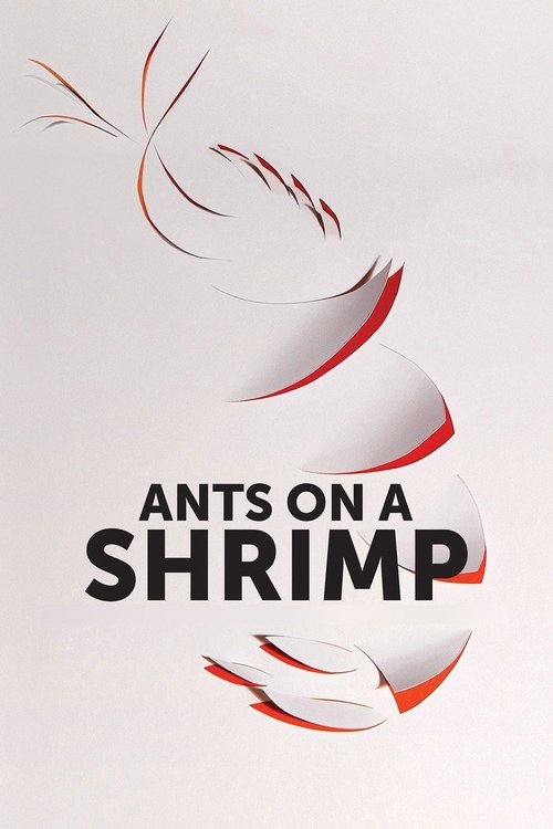 Ants on a Shrimp 2017