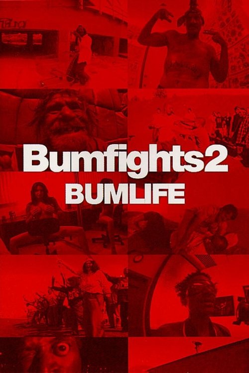 Bumfights Vol. 2: Bumlife 2003