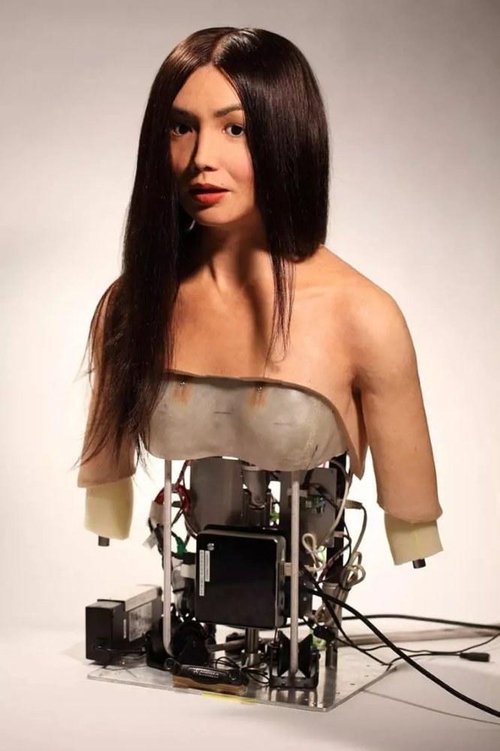 How to Build a Human 2016