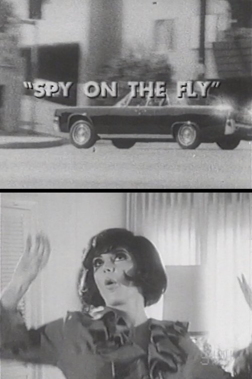 Spy on the Fly 1967