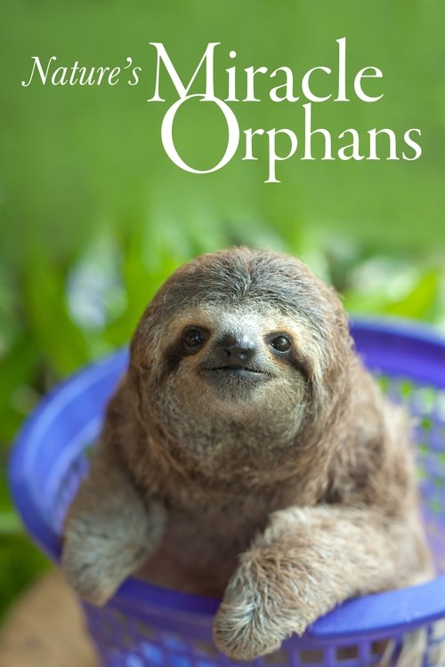 Nature's Miracle Orphans 2014