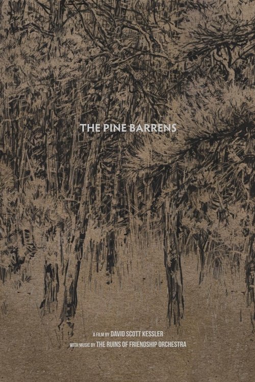 The Pine Barrens 2019