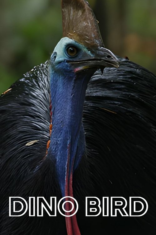 Dino Bird 2017