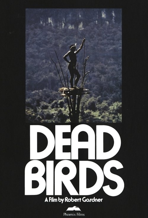 Dead Birds 1963