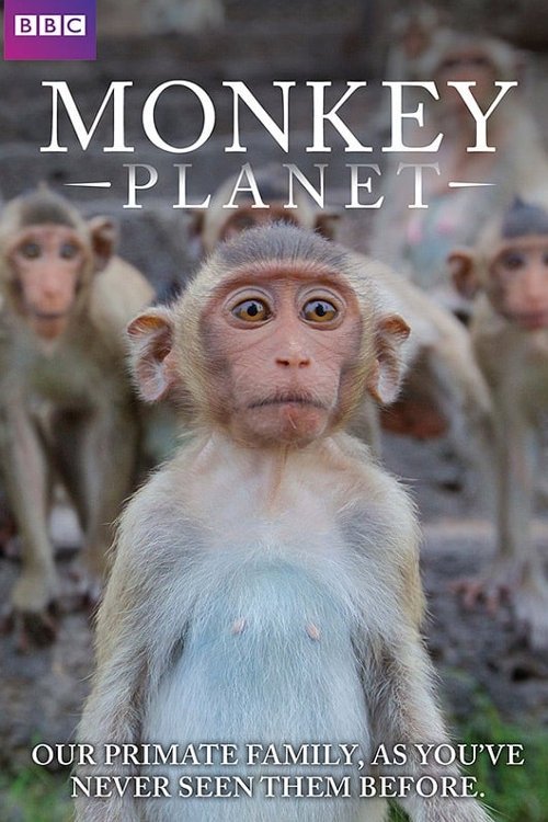 Monkey Planet 2014