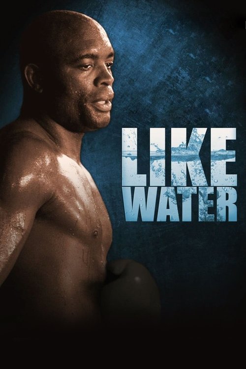 Anderson Silva: Like Water 2011