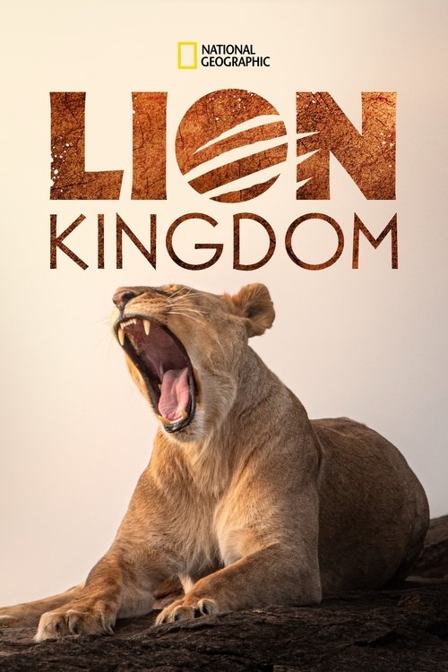 Lion Kingdom 2017