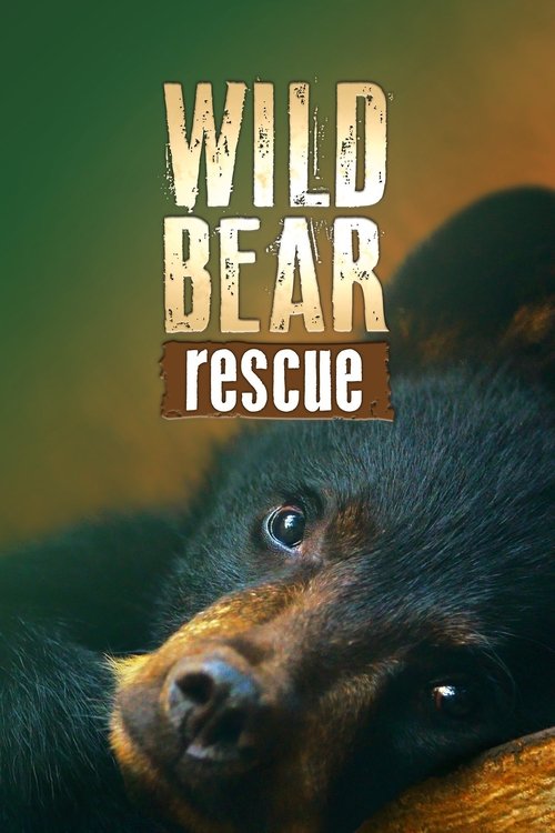 Wild Bear Rescue 2017
