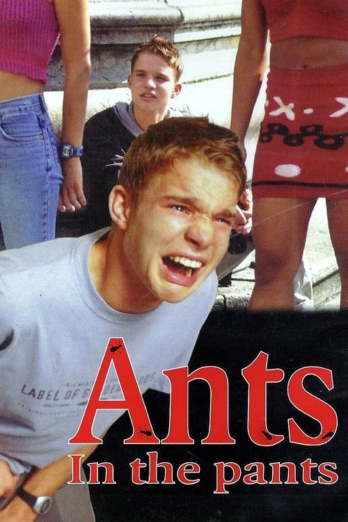Ants in the Pants 2000