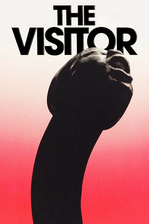The Visitor 2024
