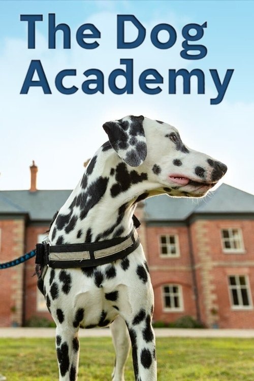 Bad Dog Academy 2023