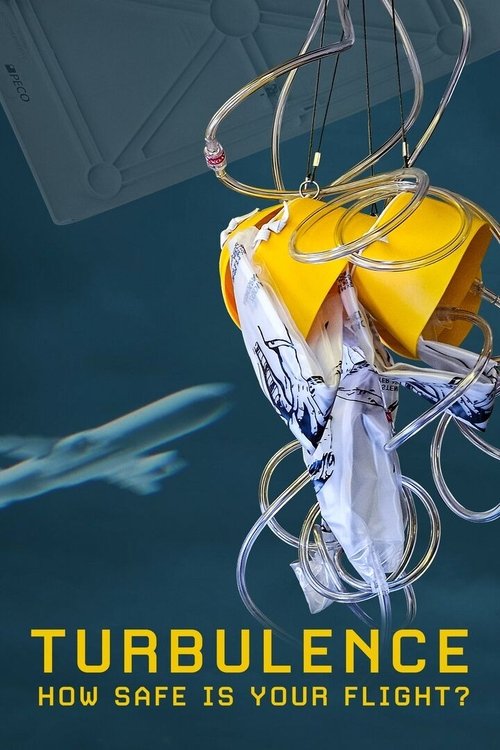 Turbulence: How Safe Is Your Flight? 2024