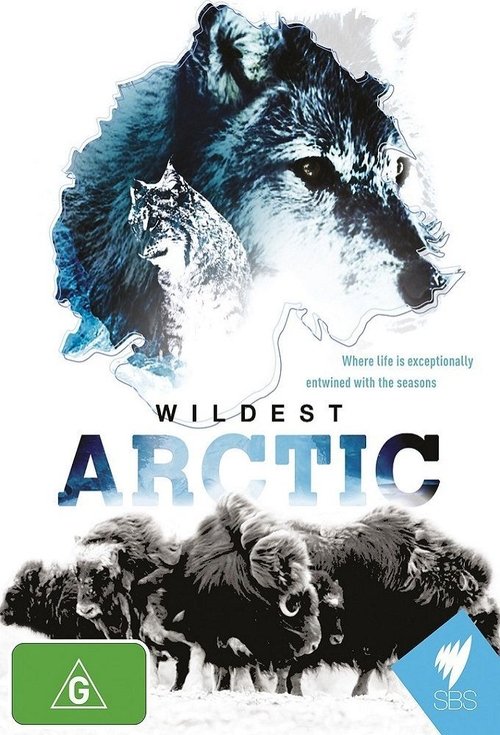 Wildest Arctic 2012