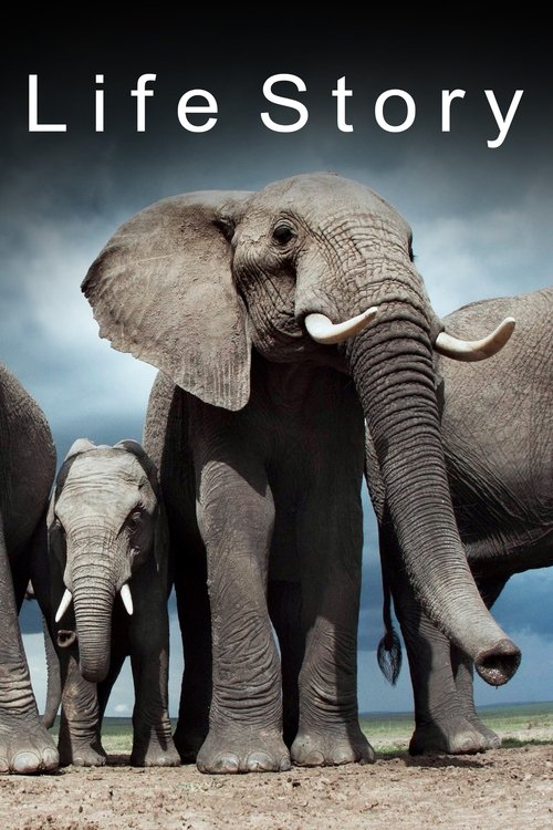 Life Story 2014
